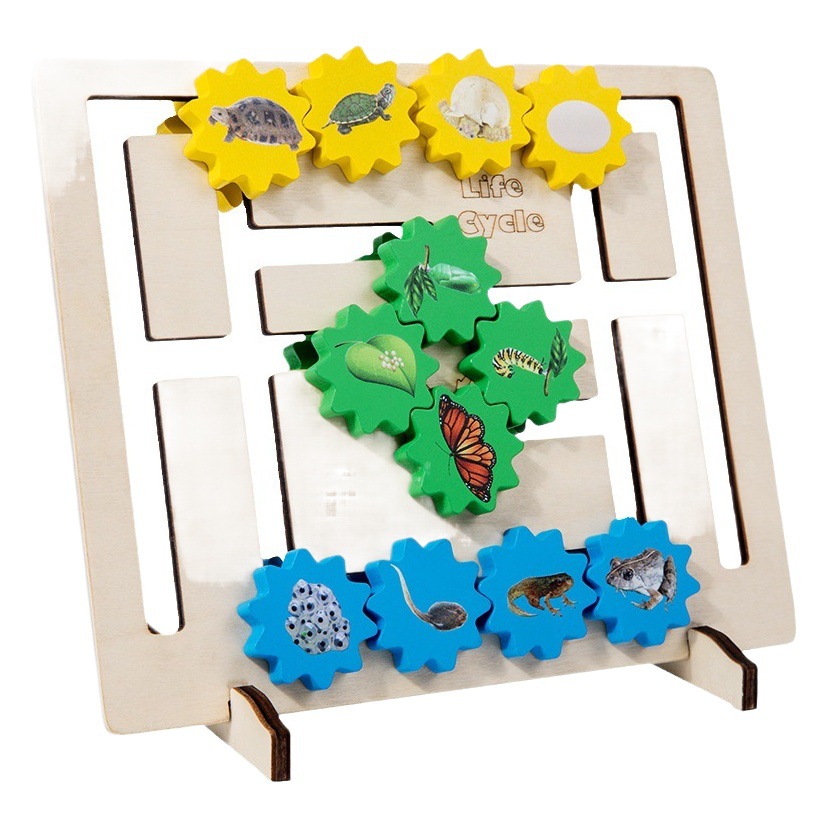 Selección estricta de la evolución del ciclo de crecimiento de la vida, posición de engranajes, juguetes cognitivos de animales, jardín de infantes, ayudas didácticas científicas Montessori