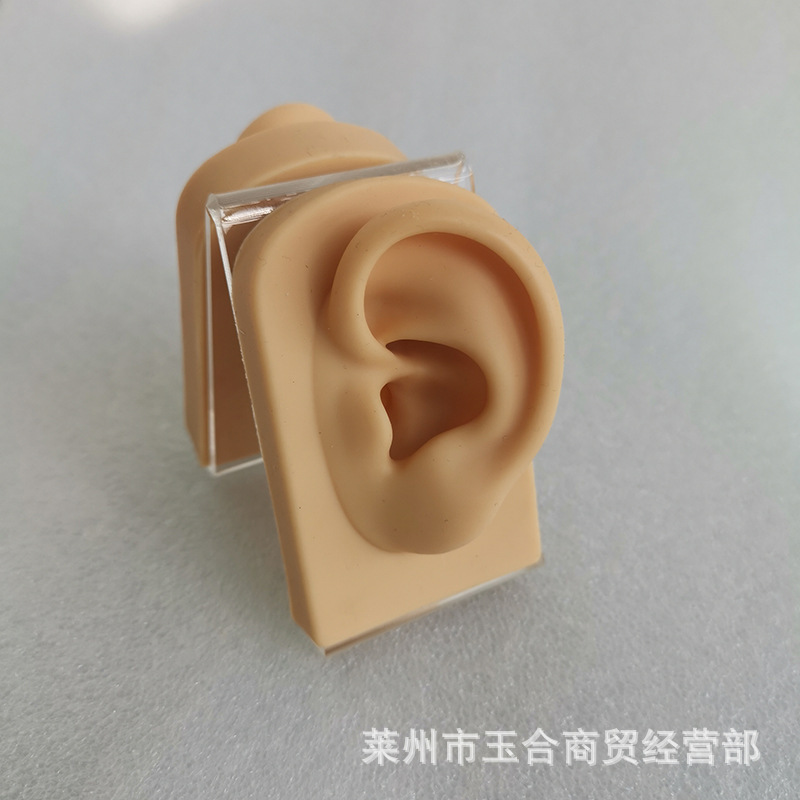 2022 New Silicone Ear Model Human Ear Stud Earrings Jewelry Display Bracket Piercing Training Props