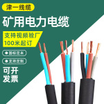 厂家定制矿用电力电缆MHYV/MHYVP/MHYAV/MHYVRP煤矿用屏蔽电缆线