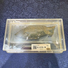 �¹��u�����~�߹������k���Ҿ���ؔ�[��֧�����l