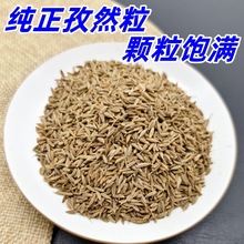 孜然粒批發新疆孜然孜然粉家用商用烧烤调味料撒料腌料香料批发