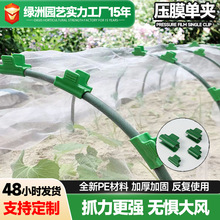 绿色压膜夹固定配件拱棚支架薄膜防虫网卡扣温室花暖房薄膜扣单夹