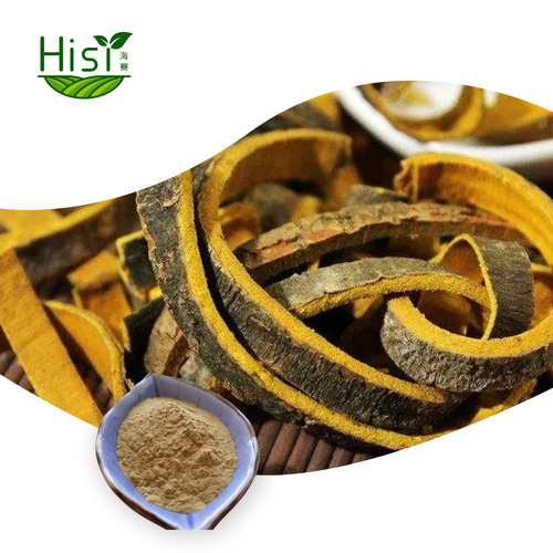 2024 Factory Hot Selling Spray Dried Phellodendron Extract 10:1 Soluble No Residue Full Taste Phellodendron Concentrate