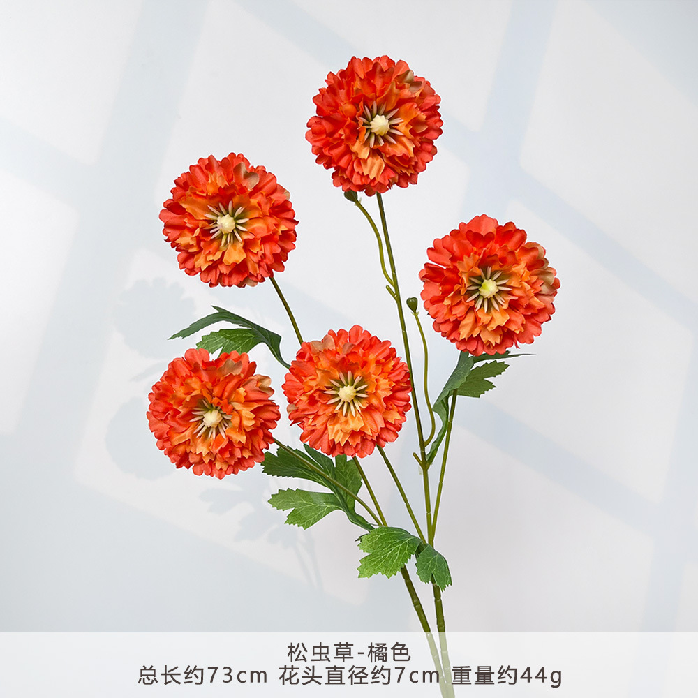 MJ-Cordyceps-Cam