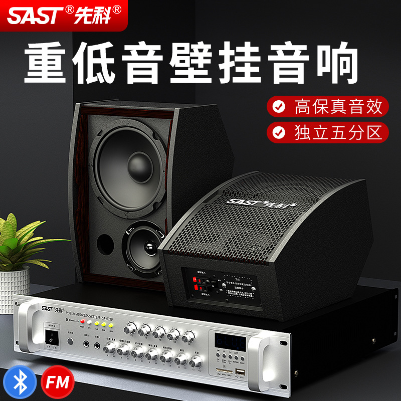 SAST/先科 A60壁挂音响店铺专用重低音无线蓝牙会议背景音乐音箱