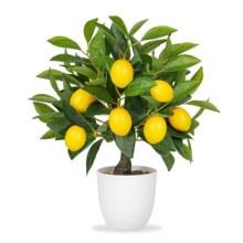 �������왎�ʘ����ԙ����b��m��춿͏d�k���������������߷���