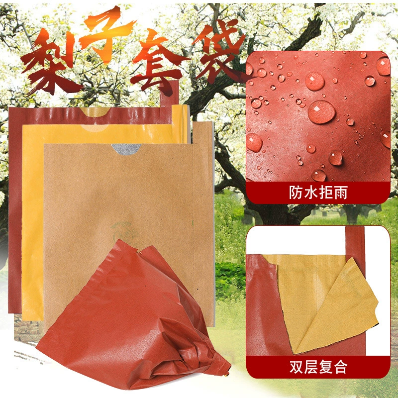 Производитель бумажных пакетов для фруктов оптом: однослойные и двухслойные, защищающие от насекомых, птиц и дождя, специально для упаковки грейпфрутов и лимонов.