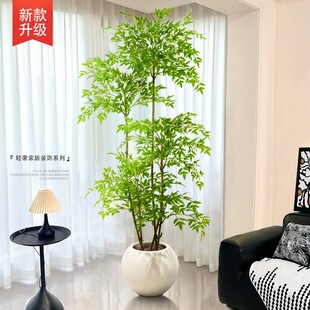 ������Gֲ�҃ȴ�������p�������҃��b�Ʒ�����٘�[��