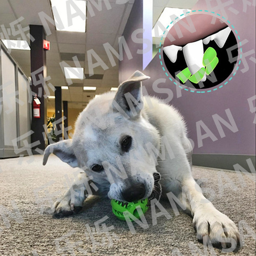 Puzzle dog molar teeth cleaning ball food leakage ball snack bite-resistant elastic ball rubber pet toy ball manufacturer wholesale