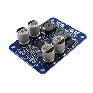 XH-M313 TPA3118 PBTL Monopoly Digital Digital Plate 1x60W