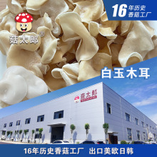 白木耳干货兔耳菌500克包邮银耳大白玉木耳竹耳菌特产白竹菌