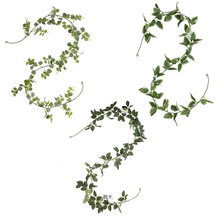 �W�t�ړ������پG�~����ֲ�� ����Gֲ�������~���~�G�~�b��ٗl