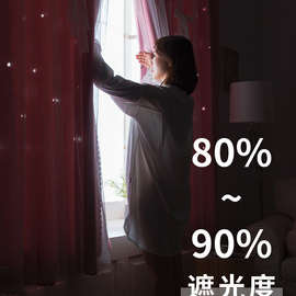 魔术贴窗帘遮光2025新款免打孔安装卧室贴粘式简易法式蕾丝双层帘