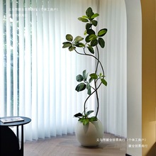 �����҃Ⱥ�����ؾGֲ�ϼ����͏d�ٻ�������Ʒ�����p����