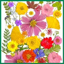 DIYѺ����ϸɻ����~���H���ֹ����z�ɻ����ϰ������滨ֲ��˱�