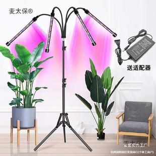 Led Floor Plant Grow Light for Succulents, Full Spectrum Strawberry Imitation Spectrum, Indoor Metabo