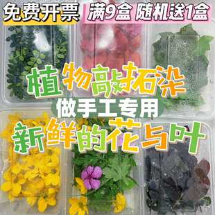 ֲ����Ⱦ�r�� ���M�����r�~�ӻ��ܾGֲ ��ӡֲ�����r����