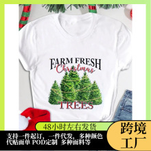 ���з��t����װ��������ʥ��ʱ�ж�������ʥ�����ӡˢͼ��Teeӡ