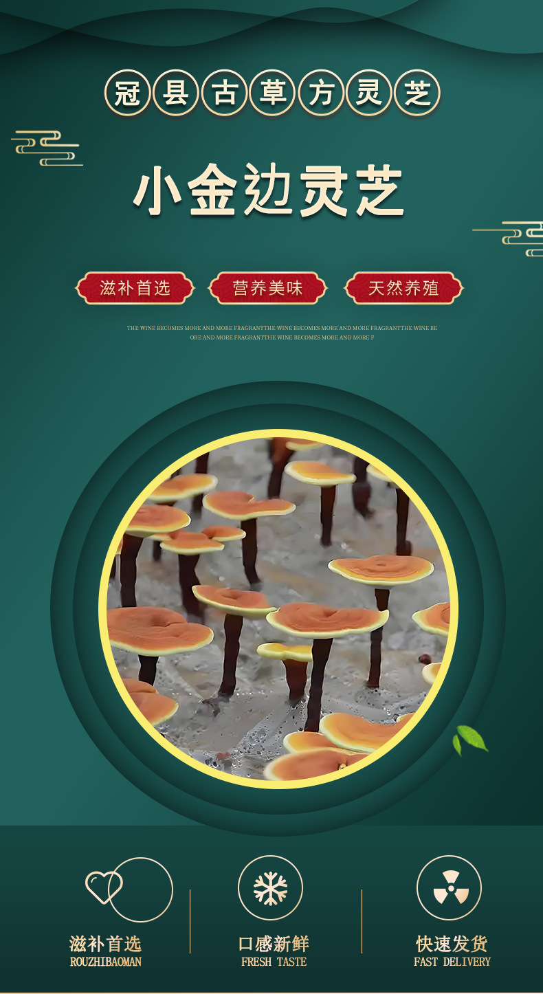 Dried Gold-Banded Reishi Mushroom Slices 200g Fragrant Mild for Soup Tea and Wine Soak overview