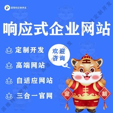 公司企业网站建设官网网站开发制作设计响应式营销型手机