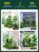 �҃Ș������쾰�Gֲ�[�����P�٘�侰�^ֲ���쾰�M���b�