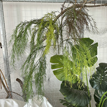 长只柳芽仿真植物软胶柳叶室内垂吊绿植吊顶装饰摄影拍摄道具