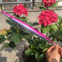 ����D����D����D�U�~�ٳ��F��500g/600g800�����Qβ���¼t�D