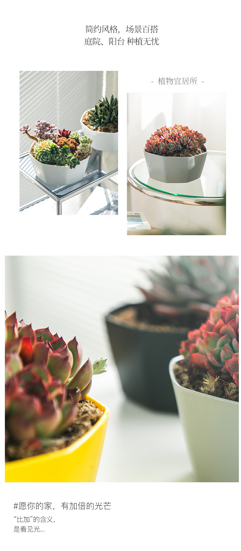 比加盆详情页分页_10