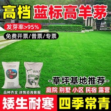 ��ƺ���Ѹ���éͥԺ���@�o�¹����ͺ��ͺ��������ļ���G���ݷN��