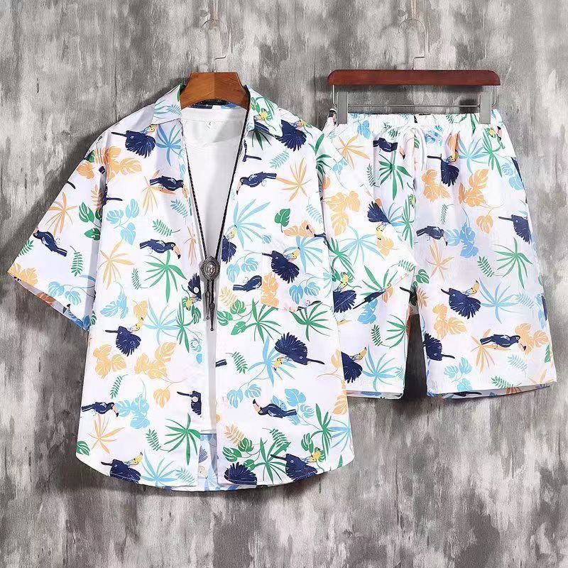 Ds008 set