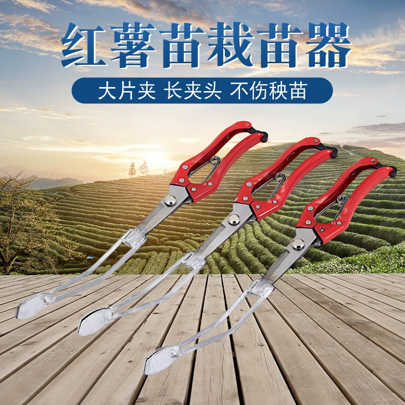 Сельскохозяйственный пересаживатель сладкого картофеля Саженцы саженцев сладкого картофеля