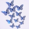 Blue C