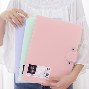 Simple Color Plastic A4 Organ Bag Multi-function Storage File Bag Student Data Test Paper Classification Folder