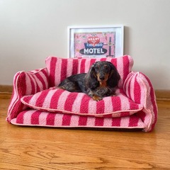 創意的なストライプの子羊のぬいぐるみ冬の保温猫の巣ペットのソファーベッドの犬の巣ペットの巣は全部分解して洗うことができます。