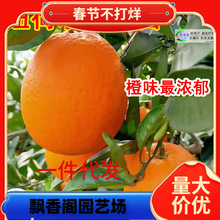 һlĴ~ɠĚļ޽ĚȘӘ