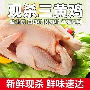 ����ɽ�^ɢ�B���u���S�u���r��������u��ĸ�u���u�t������