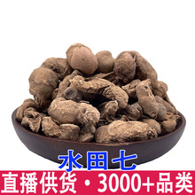 大量批发水田七水三七水虾公屈头鸡 土三七 青鱼胆草新货