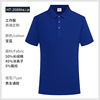 Cotton short sleeve T-shirt for early age, polo, 2688 sample, family style