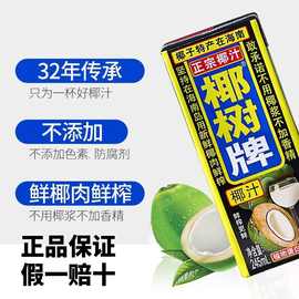 椰树椰汁海南牌椰子汁饮料饮245ml*6植物蛋白椰奶汁小吃送礼网红