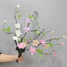 ���滨 �l�ݿ�֦��z���� С�ѻ��ٻ�������������ܛ������֦