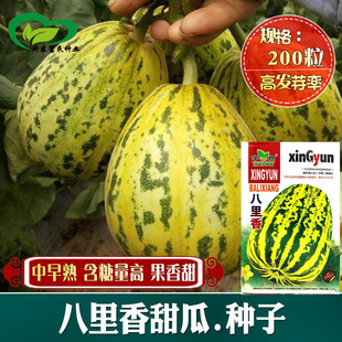 ��������ϷN�� �r��˵��r���Nֲ����ɿ������������