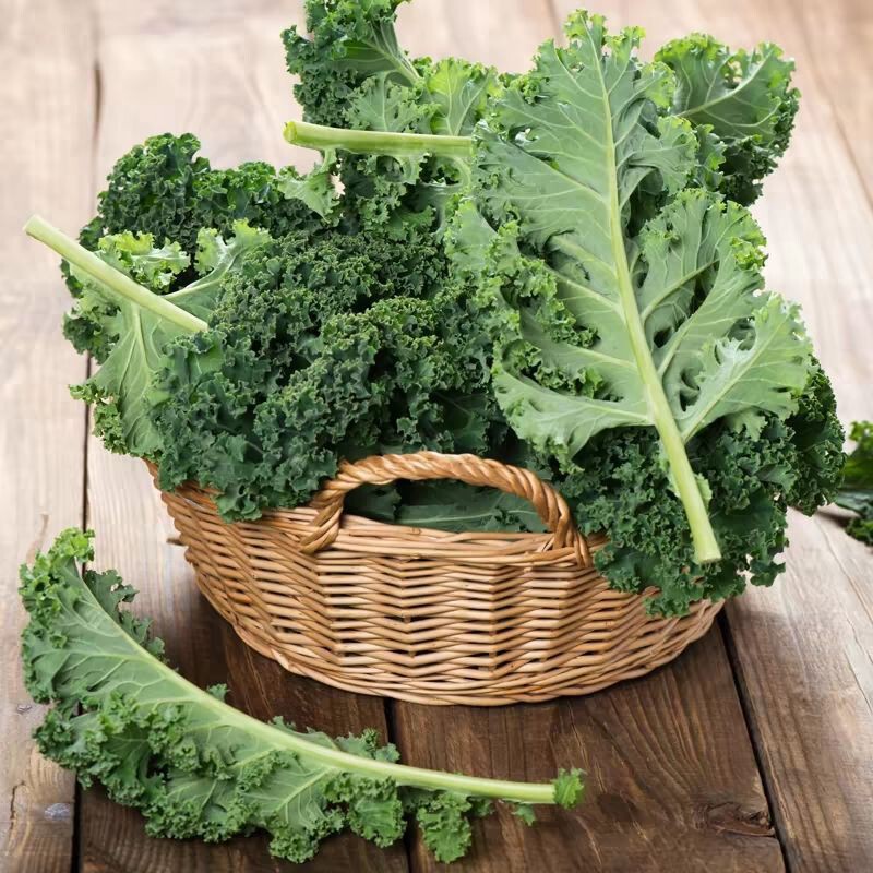 Fresh Vegetables, Kale, Juice, Fitness, Western Food, Raw Food, Light Food, Salad Ingredients, Farm-Grown Healthy Ingredients Fresh Vegetables, Kale, Juice, Fitness, Western Food, Raw Food, Light Food, Salad Ingredients, Farm-Grown Healthy Ingredients