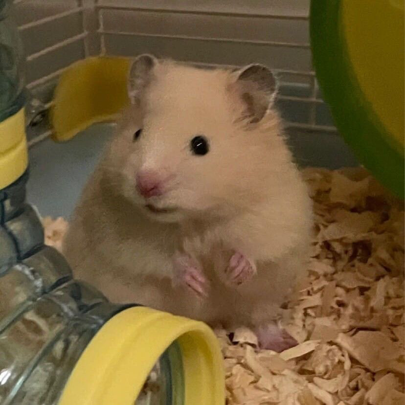 5cd42e22-6257-4f4e-be56-c1ba28dfea90.jpe