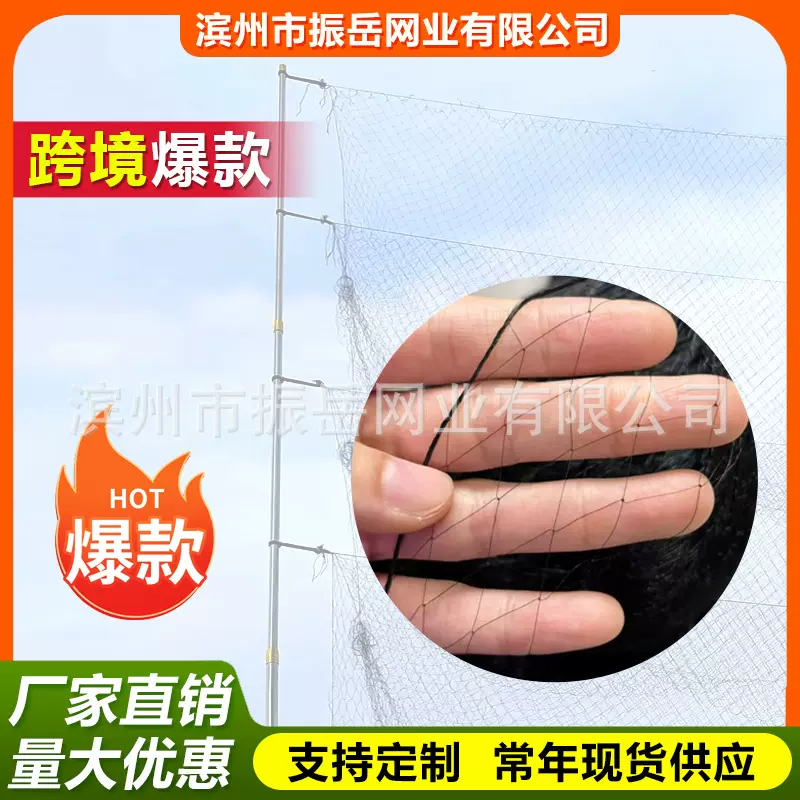 跨境货源户外防护网机场尼龙线果园农田防鸟网厂家直销