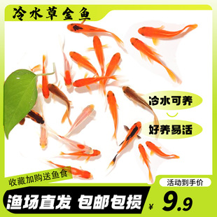 �^�p�~�ݽ��~С�͵�ˮ�ͻ���ˮ���B���~�w���B�J������~�t�a�~��