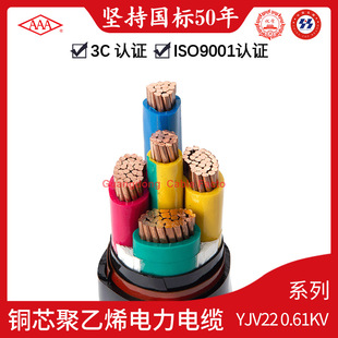 V||AAAYJV22 0.6/1kV~оϩ^zb|