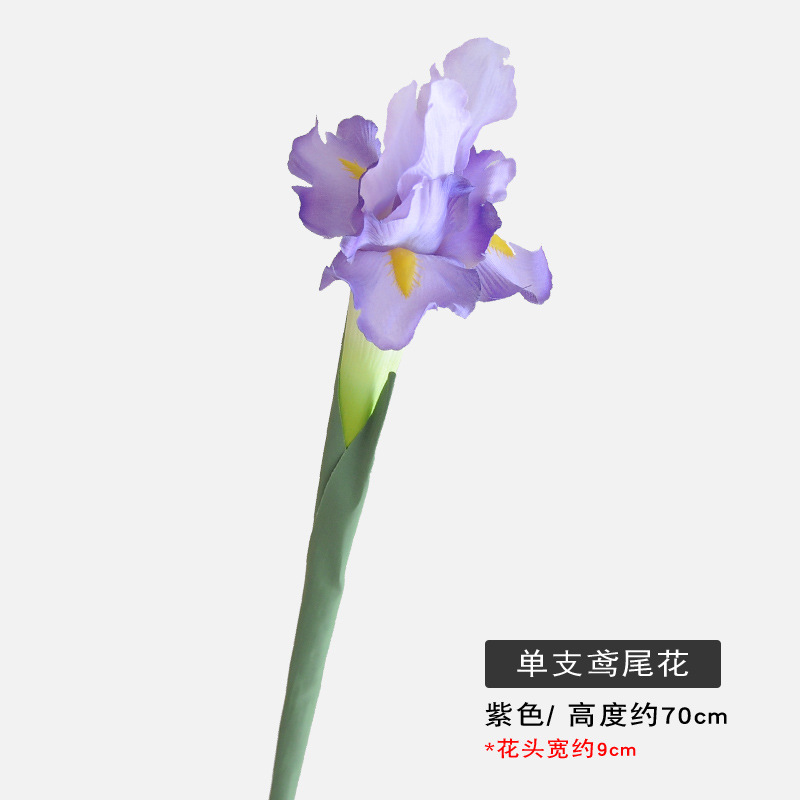 보라색