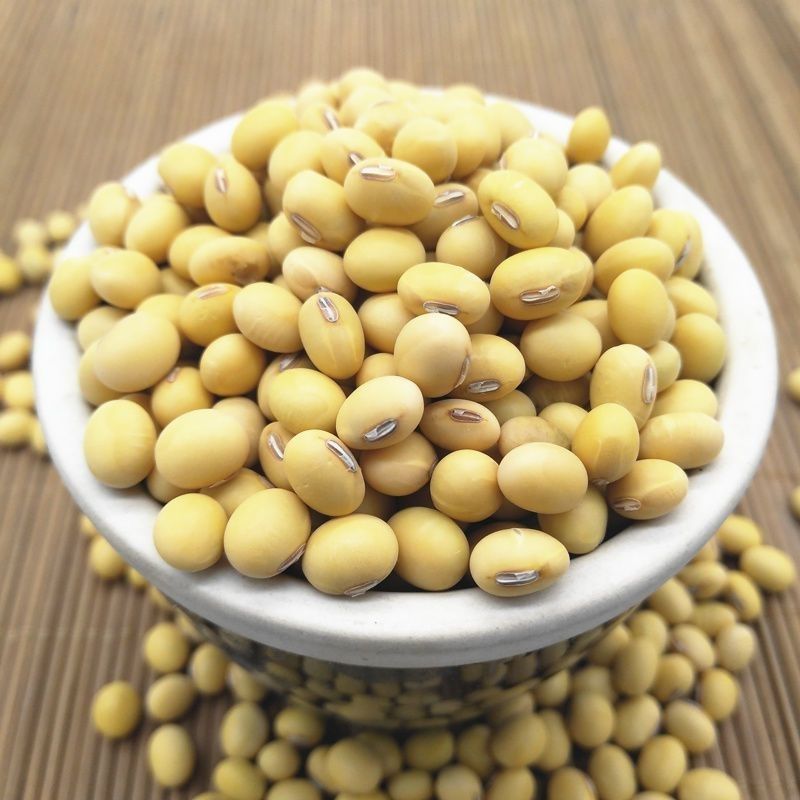 Soy Of large number wholesale Farm Production Soy 1-5 Grain Coarse Cereals Soybean Milk Bean sprouts Non-GM Beans