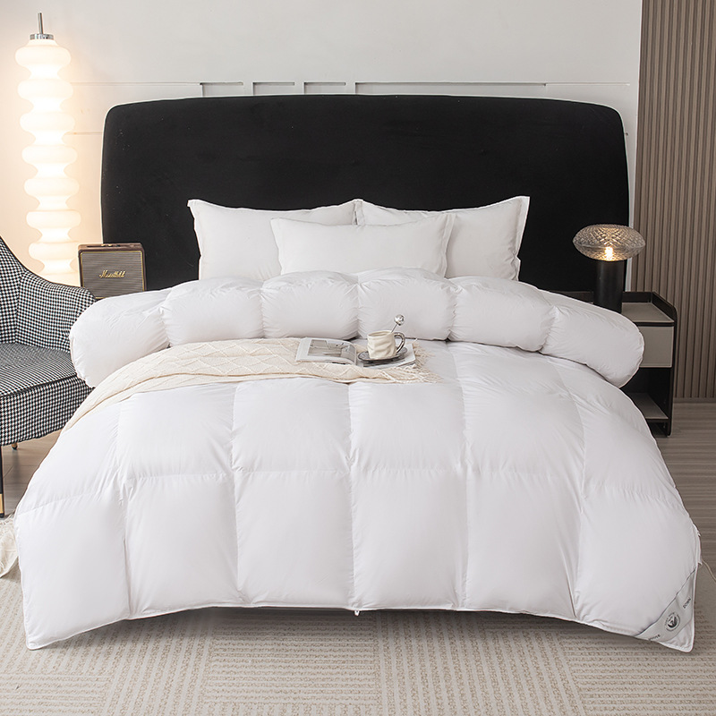 winter keep warm import duvet with down