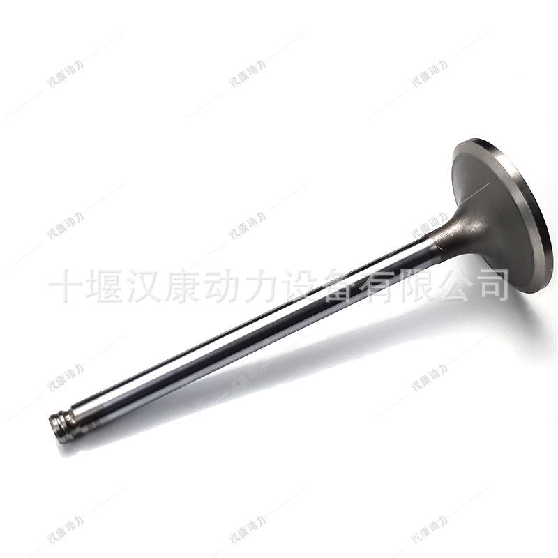 Suitable for Cummins 6Ct Engine Accessories Valve 3924492